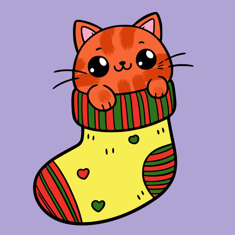 cute cat in a sock
