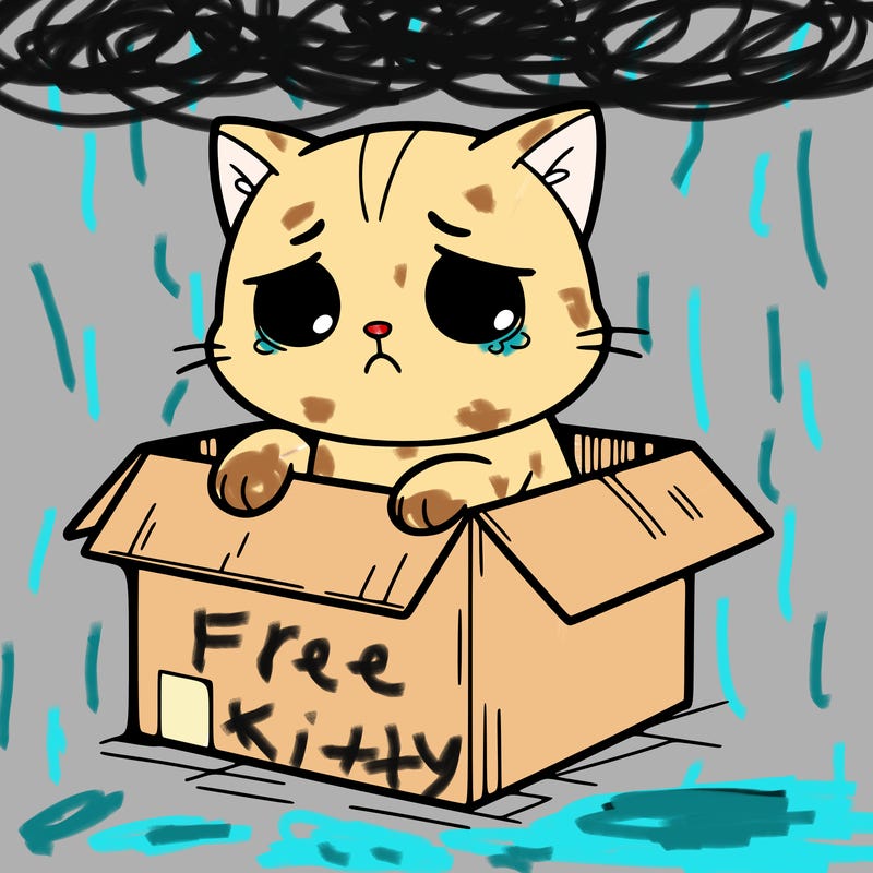 sad cat in a box