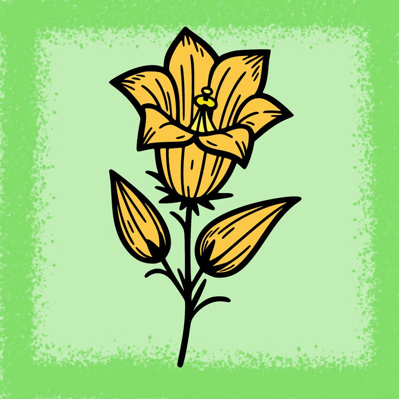 bellflower flower
