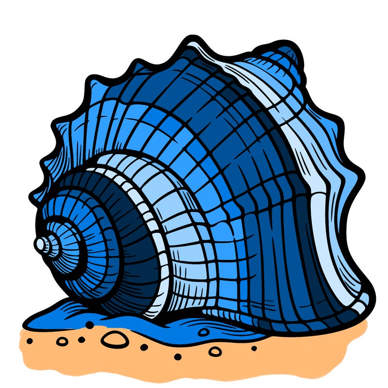 sea shell
