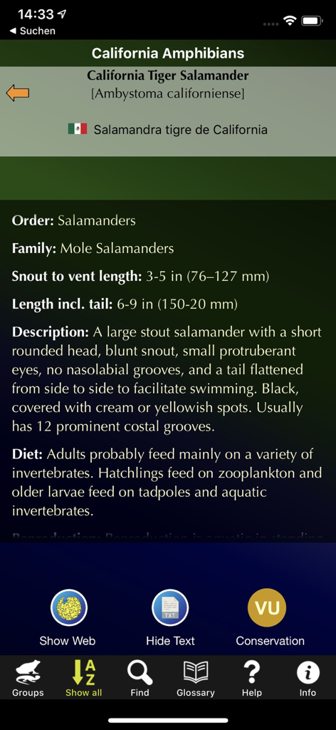California Amphibians - Detailed species information for a California Tiger Salamander in the California Amphibians app