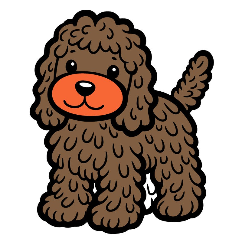 cockapoo