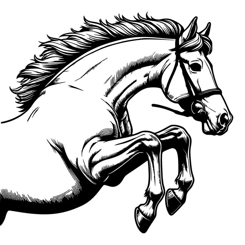 realistic horse jumping