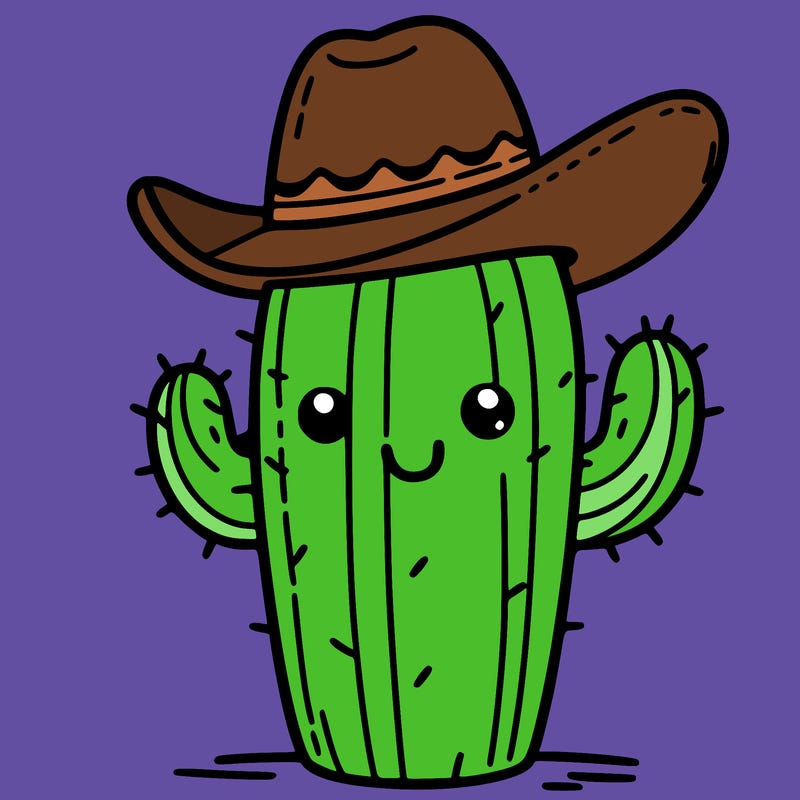 cactus with cowboy hat