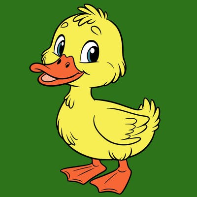 duck