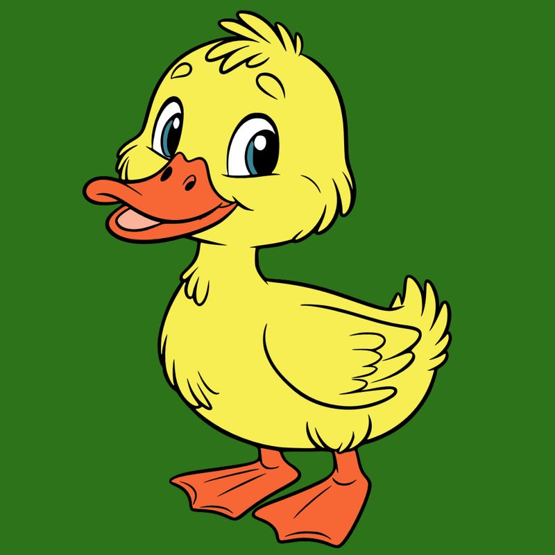duck