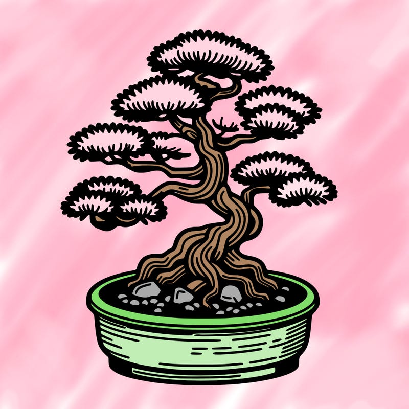 japan bonsai