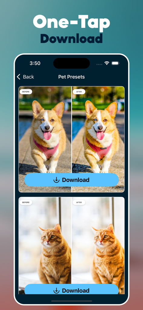 Presets for Lightroom : LRP AI - Pantalla de la aplicación móvil mostrando presets de fotos de mascotas antes y después con un botón de descarga de un solo toque.
