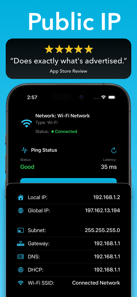 Pingers - Network Tools - Interfaccia dell'app Pingers che mostra gli indirizzi IP locali e globali con lo stato della connessione di rete
