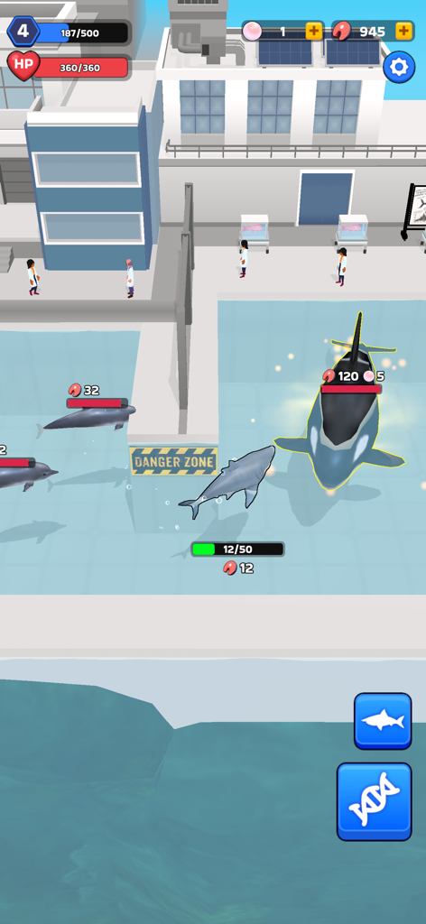 A shark swimming in a laboratory aquarium pool near an orca in Shark Universe Survival World