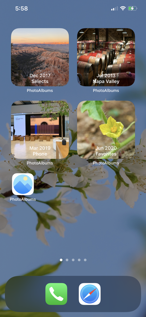 Photo Albums and Widget - iOS home screen displaying four square photo widgets with different curated photo albums