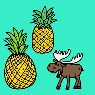 pineapple, vacation, moose