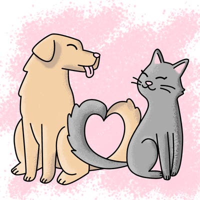 animals_22