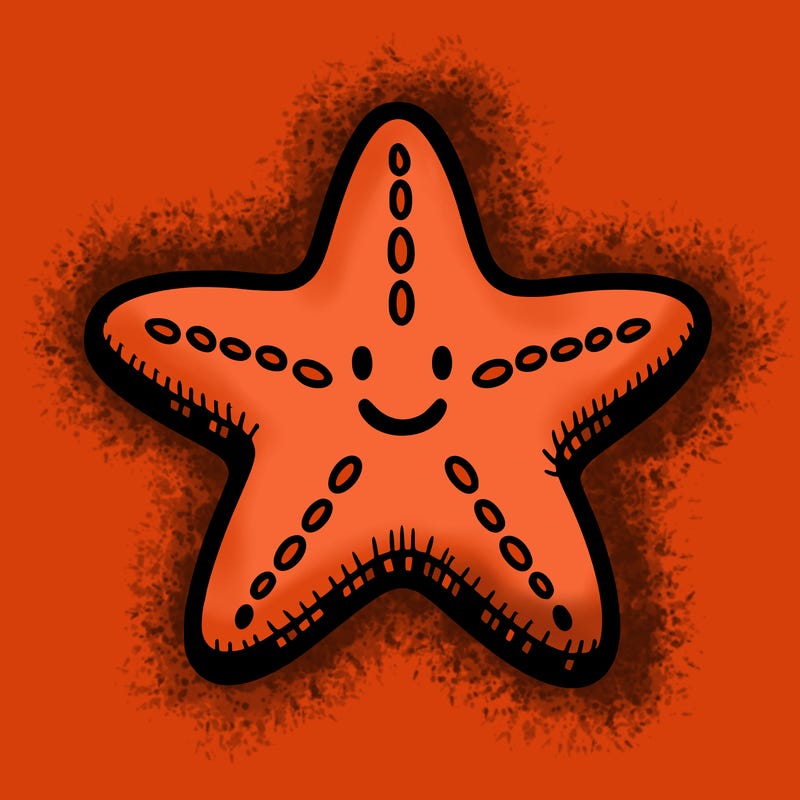 starfish