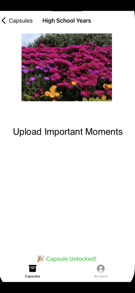 My Time Capsule - Interface do aplicativo Minha Cápsula do Tempo mostrando uma memória desbloqueada intitulada Anos do Ensino Médio com uma foto de flores cor-de-rosa