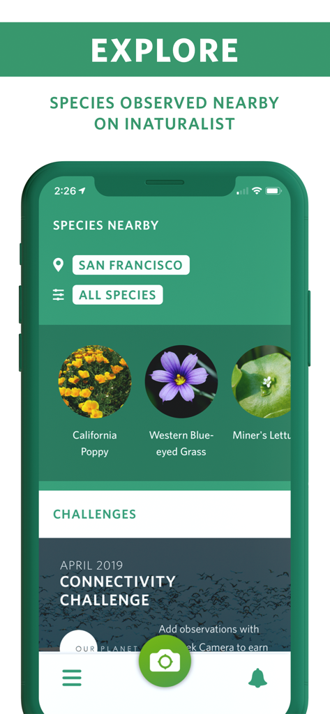 Seek by iNaturalist - The Seek by iNaturalist app interface showing nearby species in San Francisco and current nature challenges.