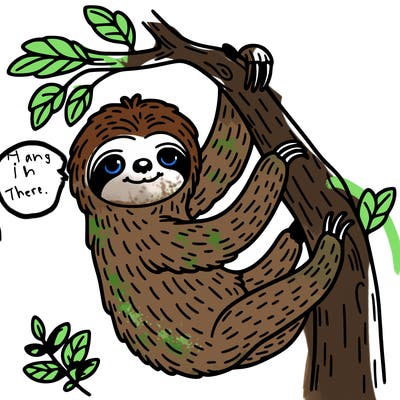sloth hanging in a tree