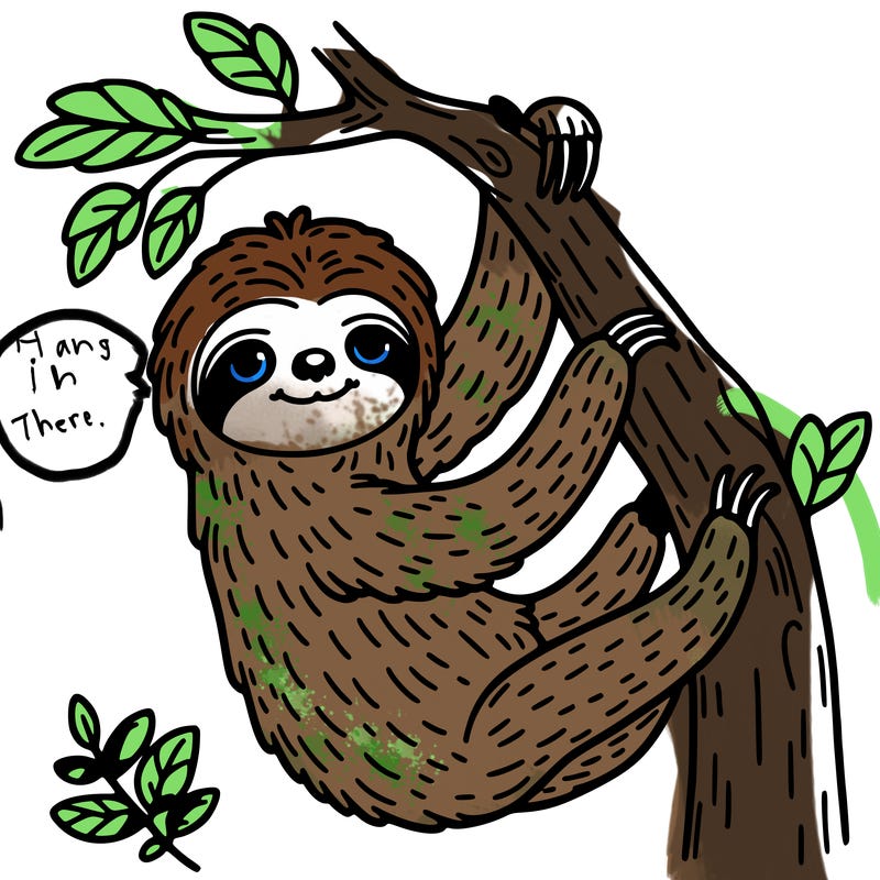 sloth hanging in a tree