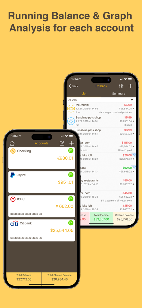 Account summary and transaction list with running balances in the Money Monitor expense tracker app.