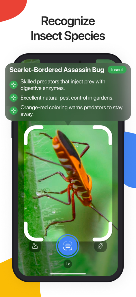 Lens Scan: Identify Anything - Una pantalla de smartphone que muestra la aplicación Lens Scan identificando un insecto asesino de borde escarlata con información descriptiva y datos.