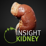 INSIGHT KIDNEY - App Icon