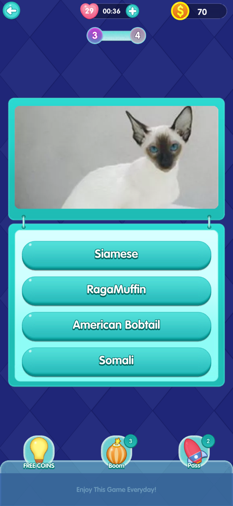 QuizTime - Trivia - QuizTime trivia app animal category question identifying a Siamese cat breed.