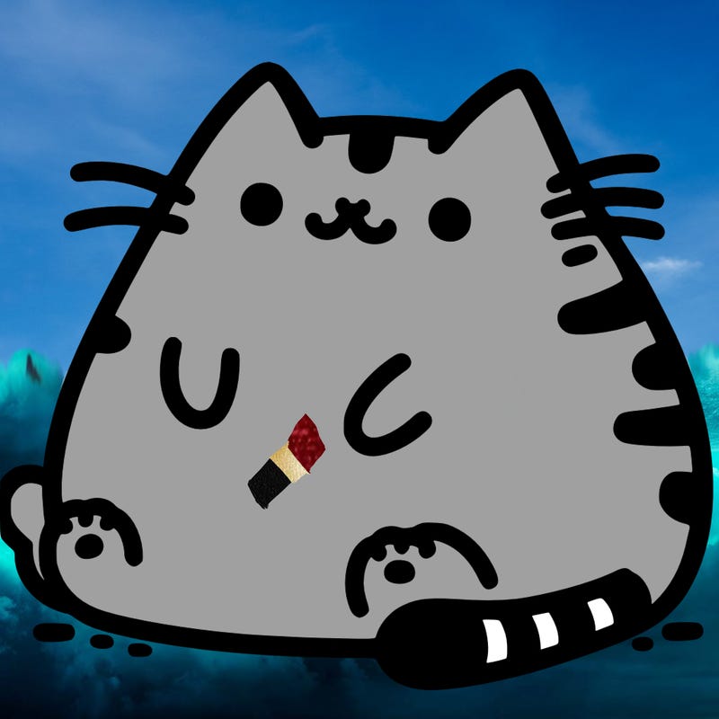 pusheen cat