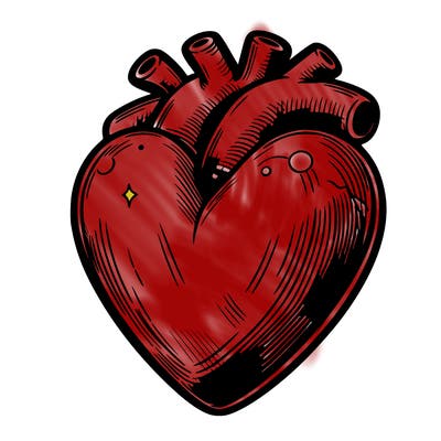 realistic heart