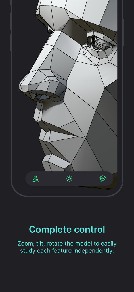 Head Model Studio - Art Study - A close up of a 3D head model showing geometric planes for anatomy study