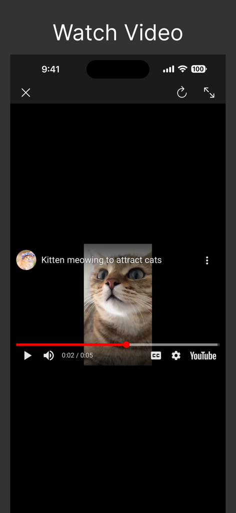UTube Embed Player - Interface de l'application UTube Embed Player en train de lire une vidéo