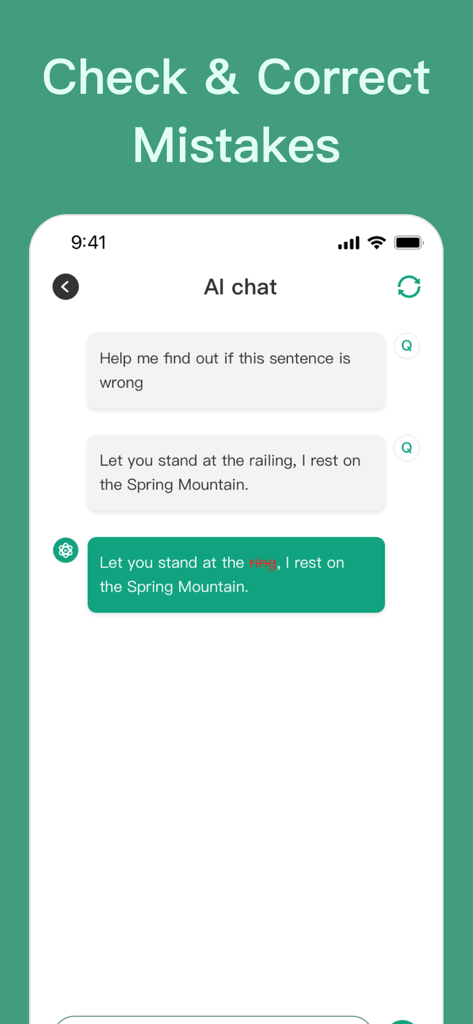 AI Chatbot Assistant - AI Bot - Interface AI Chatbot montrant la fonction Vérifier et corriger les erreurs.