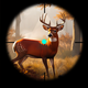 Deer Hunter Animal Simulator