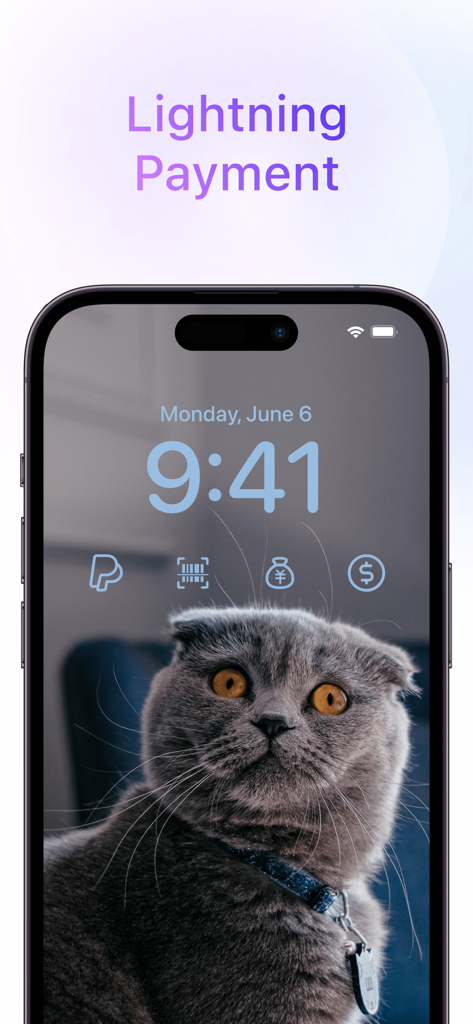 Écran de verrouillage iPhone montrant des widgets de paiement à accès rapide et un fond d'écran de chat