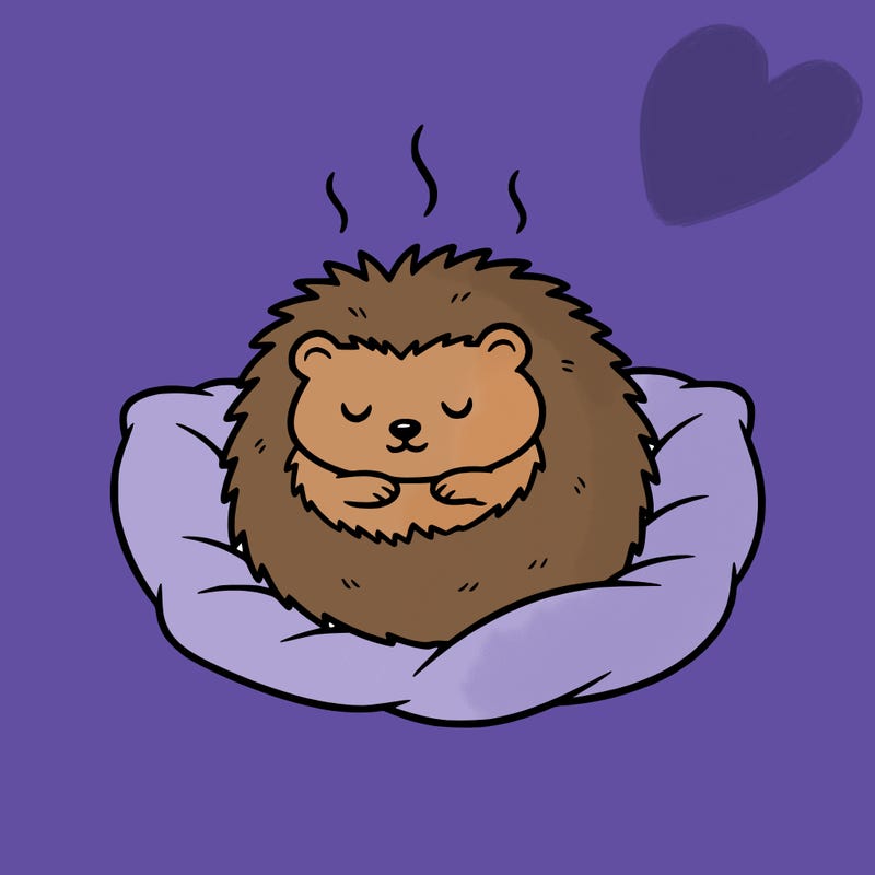 cozy hedgehog