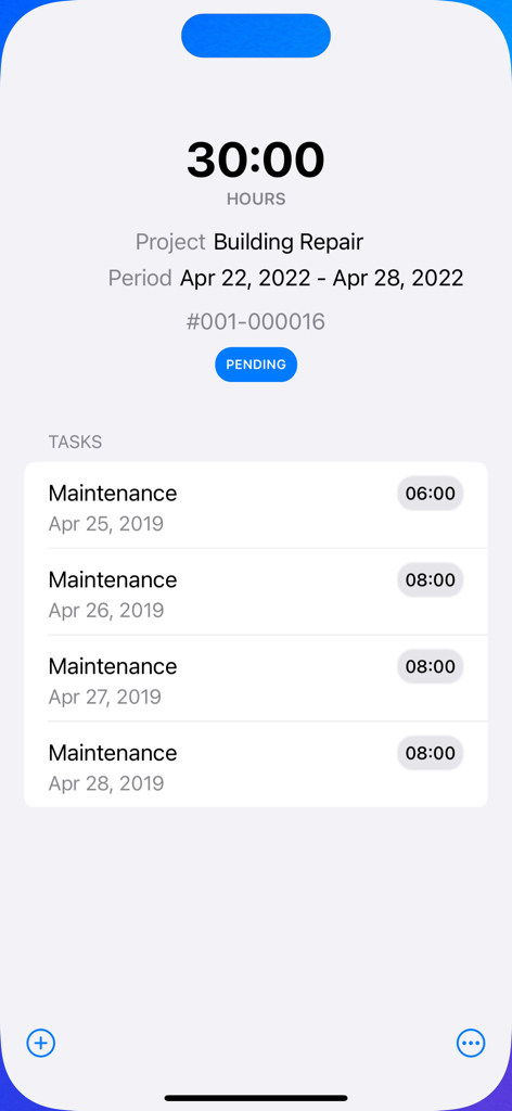 Time Entry for Business - Pantalla de resumen del proyecto en la aplicación Time Entry for Business que muestra 30 horas registradas y tareas de mantenimiento diarias
