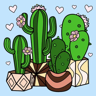 flowers_24_new