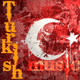 Turkish MUSIC Online Radyo