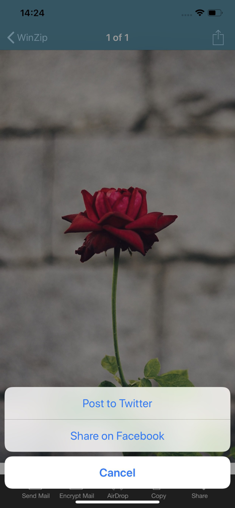 Interfaz de la aplicación WinZip Pro para iOS que muestra opciones para compartir fotos en redes sociales de una foto de una rosa roja