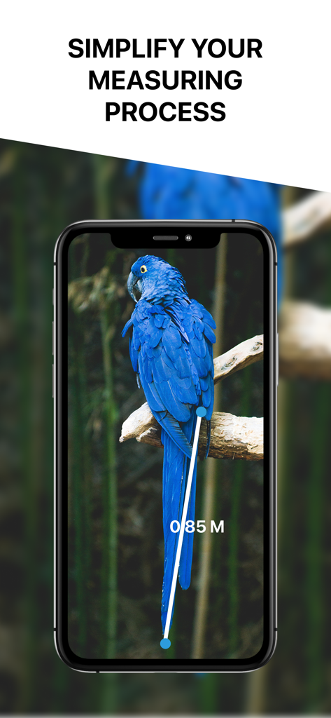 Measure Height With Camera App - A smartphone screen showing an AR measurement of a blue parrot's height in meters