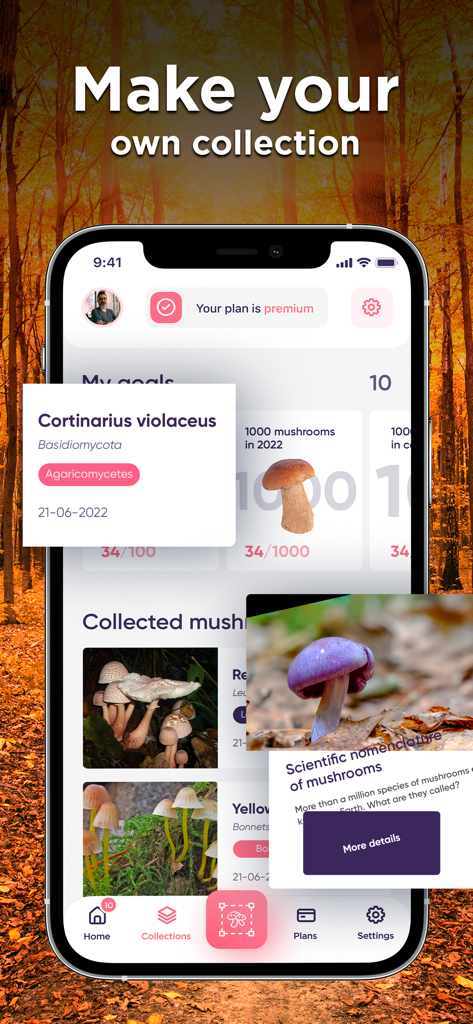Une capture d'écran de l'application Identificateur de Champignons montrant la collection personnelle d'un utilisateur d'espèces de champignons trouvées avec leurs noms et classifications scientifiques.