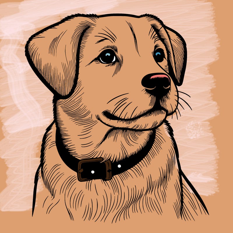 dog realistic