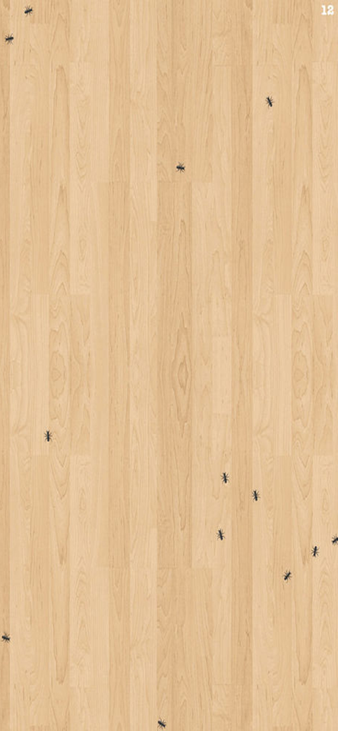 Ants crawling across a wooden floor in the Smash Ant mobile game