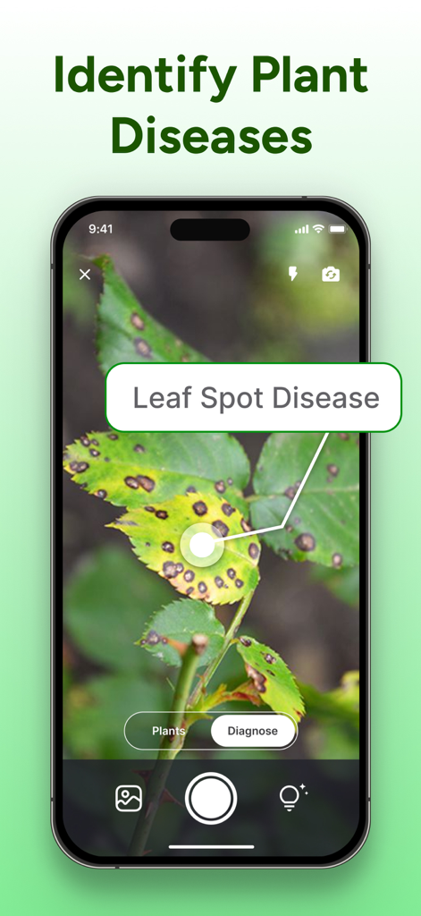 PlantCheck: Plant Identifier - Pantalla de smartphone usando la aplicación PlantCheck para identificar la enfermedad de la mancha foliar en una planta.
