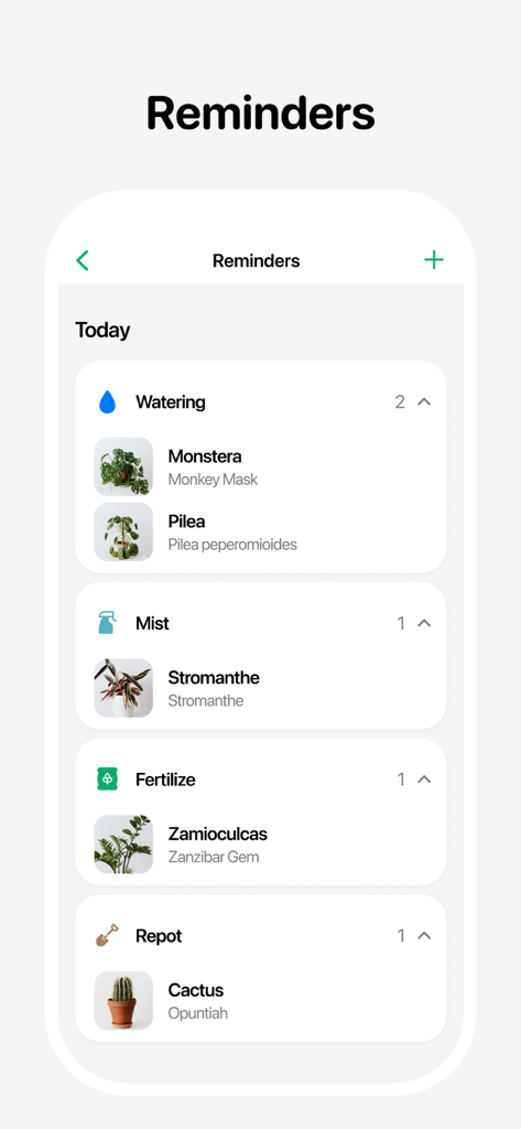 Plant Identifier - Leafora AI - Mobile app interface showing daily plant care reminders for watering and maintenance