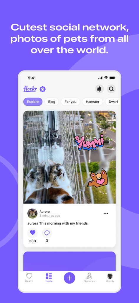 Flockr app interface showing a social feed with a photo of cats and community interactions