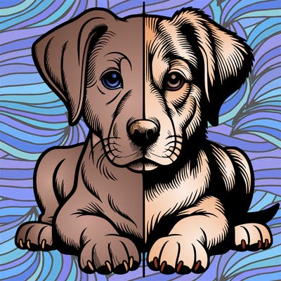 realistic dog split picture