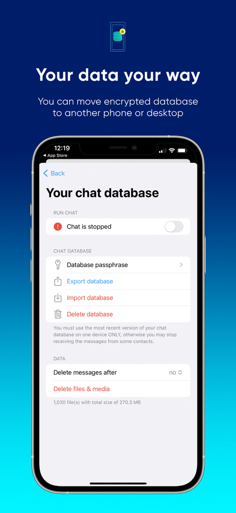 SimpleX Chat app interface showing settings to export import and manage an encrypted chat database for secure data portability