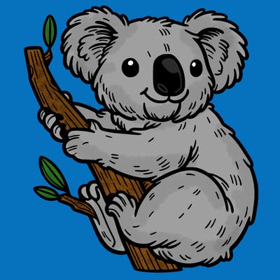 koala