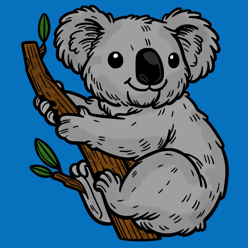 koala