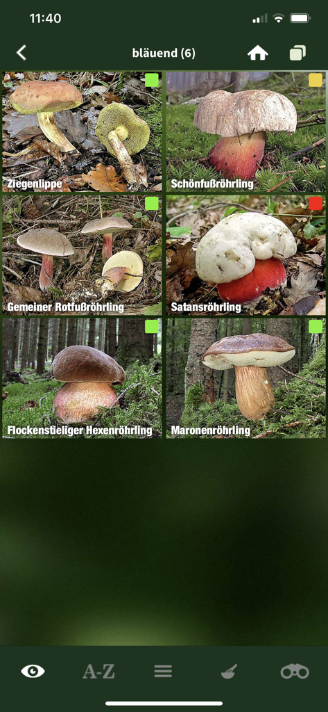 Un'interfaccia di app mobile che visualizza una griglia di sei specie di funghi con indicatori di commestibilità codificati a colori.